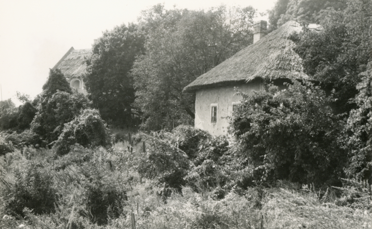 Badacsonytomaj. Háttérben a Szegedy Róza-ház Badacsonytomaj. Háttérben a Szegedy Róza-ház