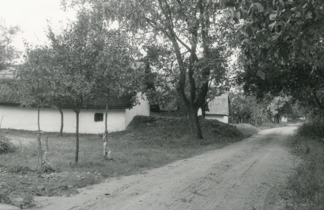 Kocs. Öreghegyi pincesor, 223. és 225. sz. pincék Kocs. Öreghegyi pincesor, 223. és 225. sz. pincék