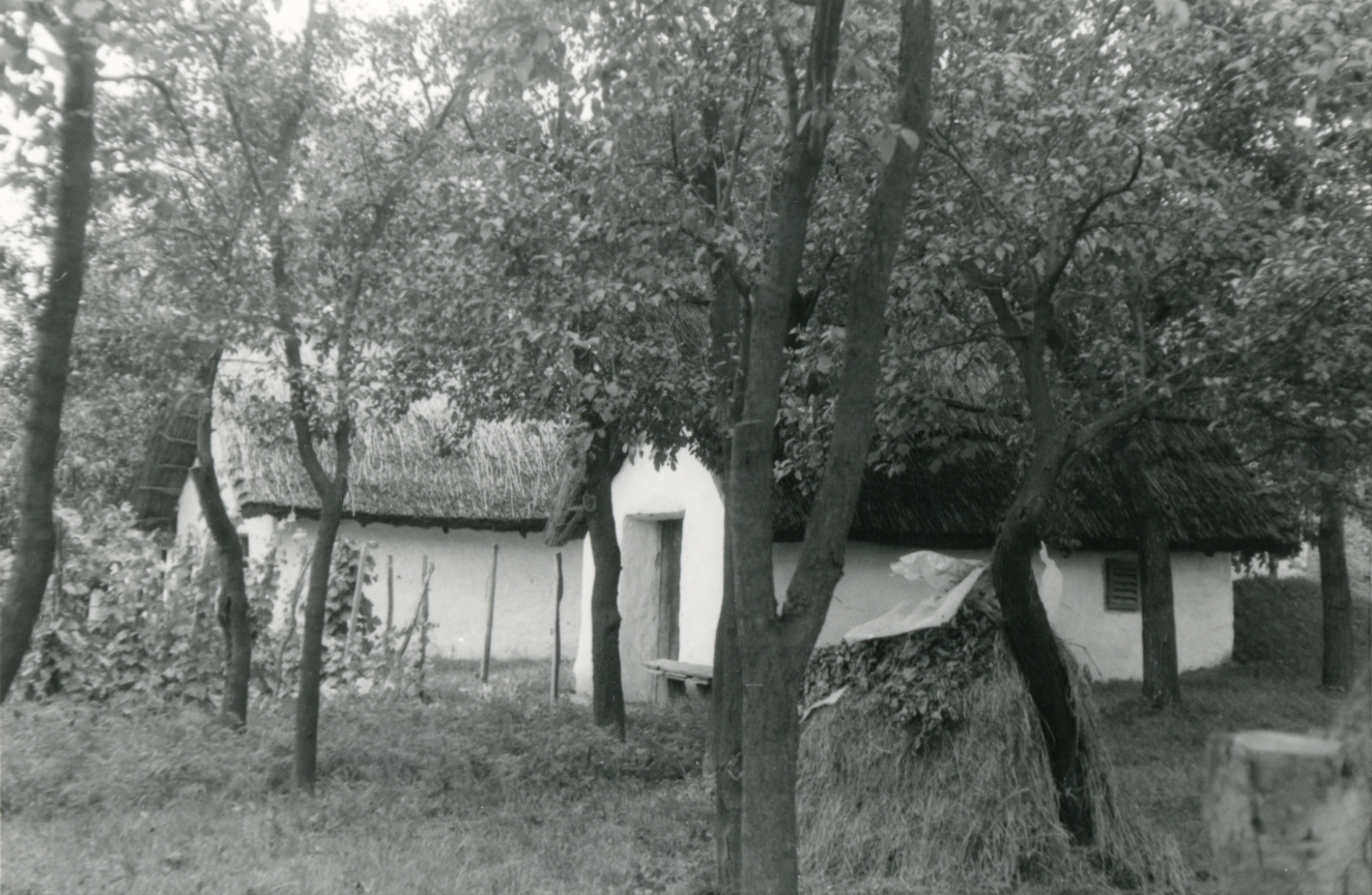 Kocs. Öreghegy. A 241. és a 242. sz. pincék Kocs. Öreghegy. A 241. és a 242. sz. pincék