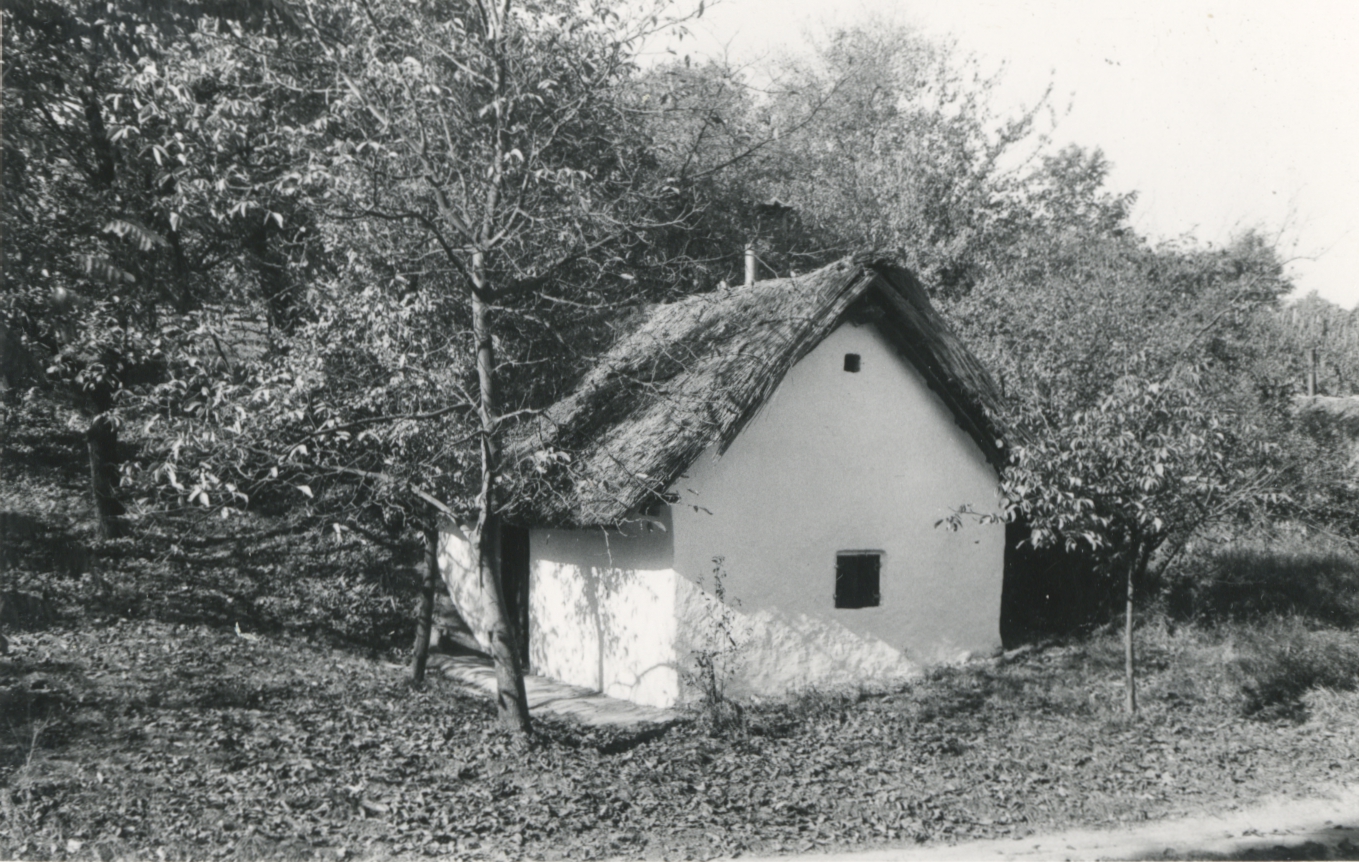 Kocs. Kunvölgyi pincesor, a 110. sz. pince környezete Kocs. Kunvölgyi pincesor, a 110. sz. pince környezete