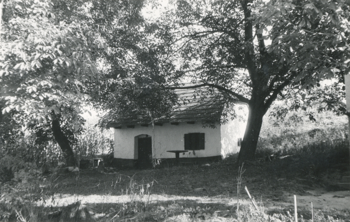 Kocs. Kunvölgyi pincesor, jellegzetes, ágasfás pince Kocs. Kunvölgyi pincesor, jellegzetes, ágasfás pince