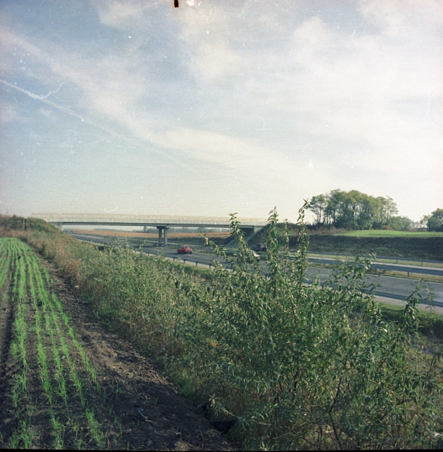 Autópálya melletti töltés növényzete Autópálya melletti töltés növényzete