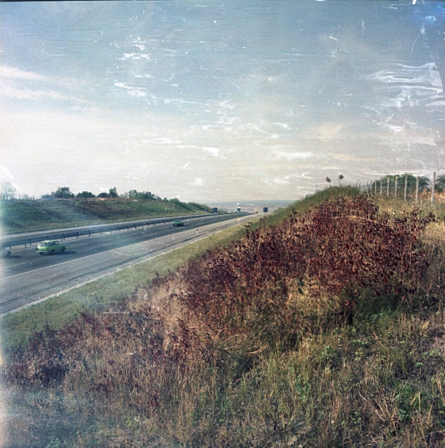 Autópálya melletti töltés növényzete Autópálya melletti töltés növényzete