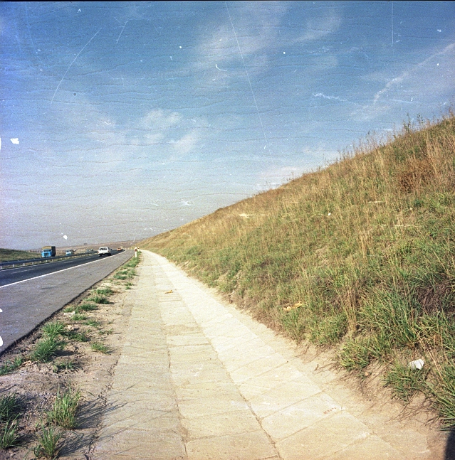 Autópálya melletti töltés növényzete Autópálya melletti töltés növényzete