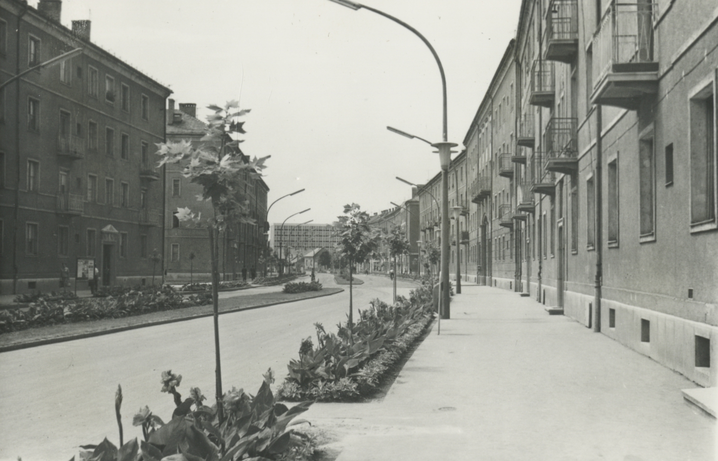 Szeged. Boldog Sándor István (Ságvári Endre) körút, háttérben a Pártház Szeged. Boldog Sándor István (Ságvári Endre) körút, háttérben a Pártház