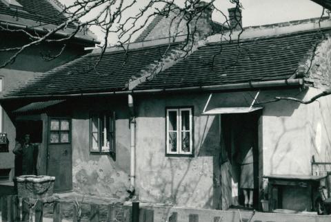 Kispesti állapotvizsgálat