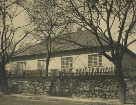 Kotsis Endre: Rákosy-villa