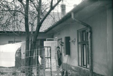 Kispesti állapotvizsgálat