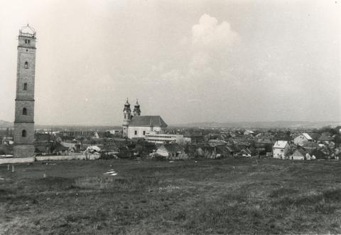 Tata. Kilátás a Kálvária-dombról. Balra a Söréttorony, a háttérben a Szent Kereszt felmagasztalása templom