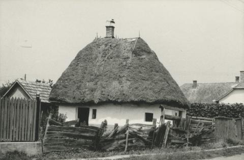 Tarpai malom