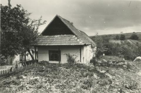 Állapotfelmérés Hollókőn