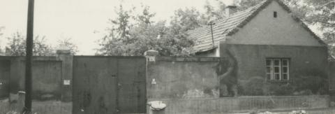 Debrecen. Pacsirta utca