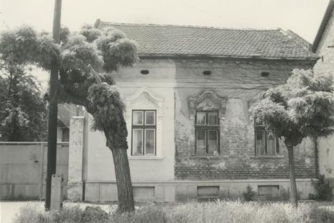 Debrecen. Pacsirta utca
