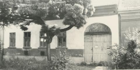 Debrecen. Pacsirta utca