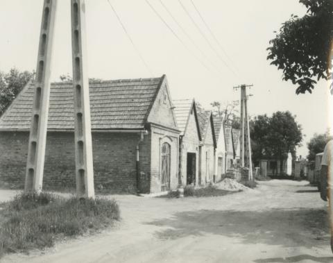 Paks. Pincesor felmérése