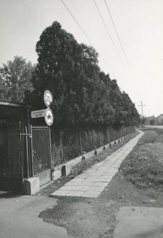 Székesfehérvár. "Vigyázz, autó!"