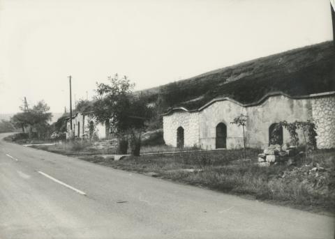 Pincesor Novajon