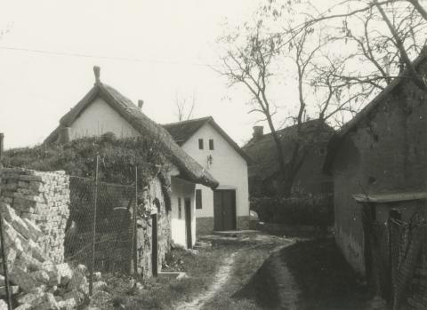 Velencei pincék