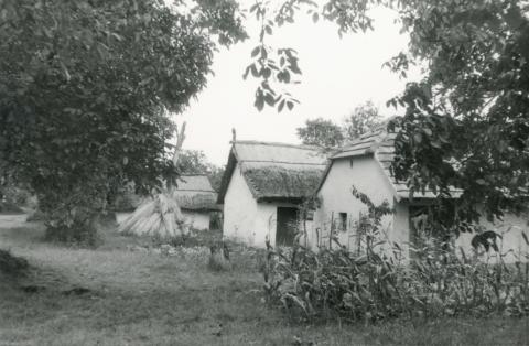 Kocs. Öreghegyi pincesor