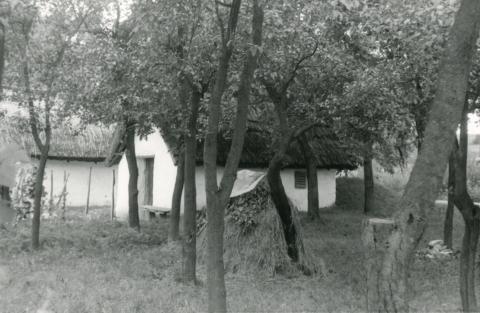 Kocs. Öreghegy. A 241. és a 242. sz. pincék