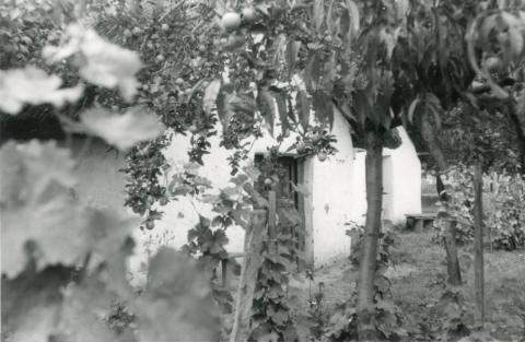 Kocs. Öreghegy. A 241. és a 242. sz. pincék