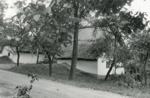 Kocs. Öreghegyi pincesor