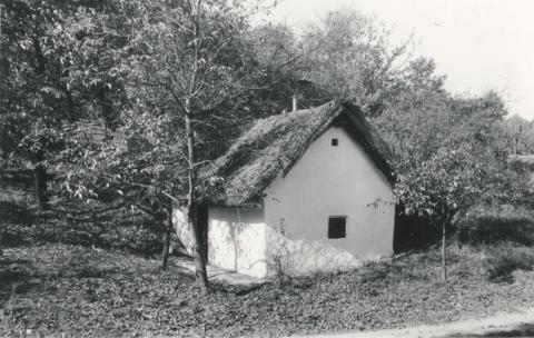 Kocs. Kunvölgyi pincesor, a 110. sz. pince környezete