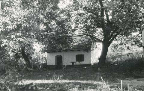 Kocs. Kunvölgyi pincesor, jellegzetes, ágasfás pince