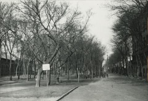 Kecskemét. Marx Tér (Gyenes tér)