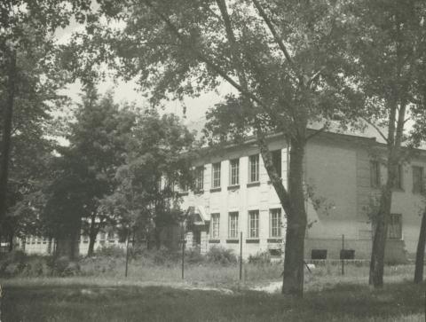 Lajosmizsei központi iskola