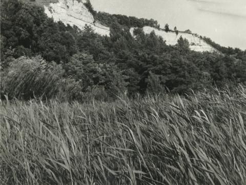 A balatonakarattyai löszfal