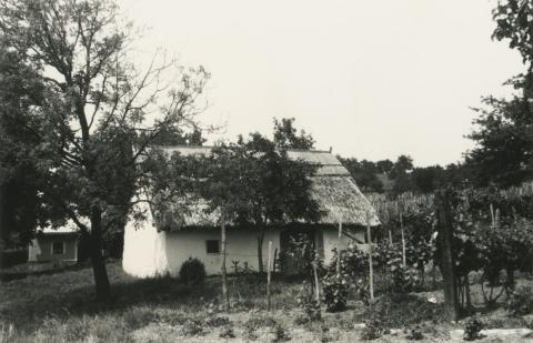 Lesencetomaj. Szőlőhegyi pince
