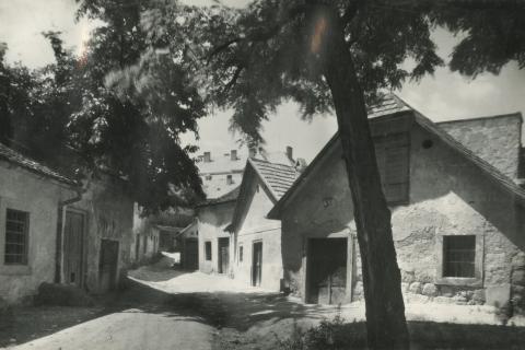Eger. Kacsapart