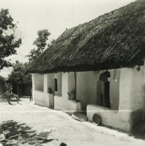 Szigliget. 4 sz. ház.