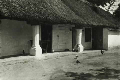 Zamárdi. Fő utca 64.